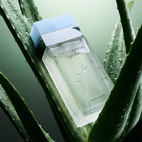 Dolce & Gabbana Light Blue EDT 50 ml W