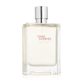 Hermès Terre D'Hermès Eau Givrée EDP plnitelný tester 100 ml M